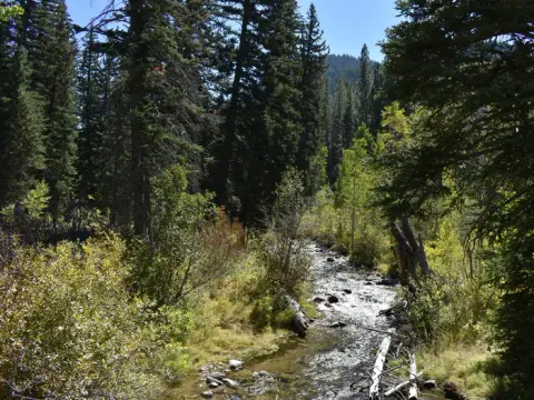 Uinta-Wasatch-Cache National Forest recreation area