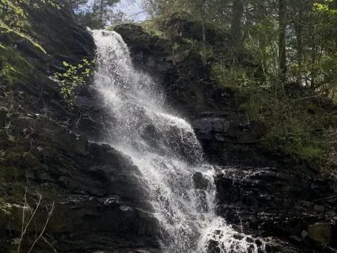 Panther Bluff Falls