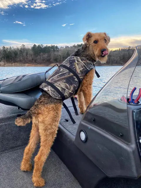 Life Jackets Save Lives!