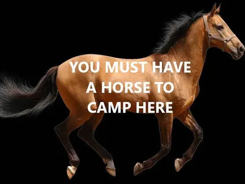 Adamant message that you must have a horse to camp here.