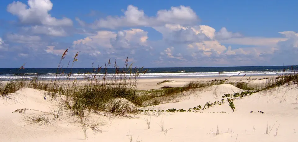 undeveloped beach complete with sea oat covered dunes, light sands, blue sky, and crashing waves