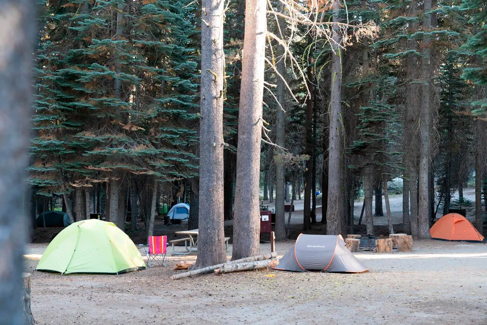 Tamarack Flat Campsites