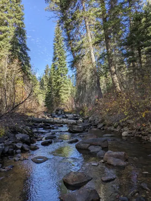 Goose Creek runs adjacent to Last Chance Campground.