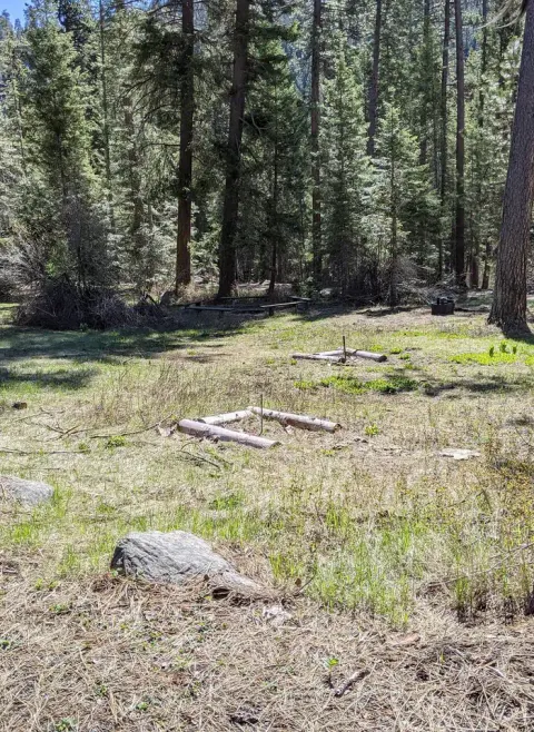 Sunny horseshoe pits