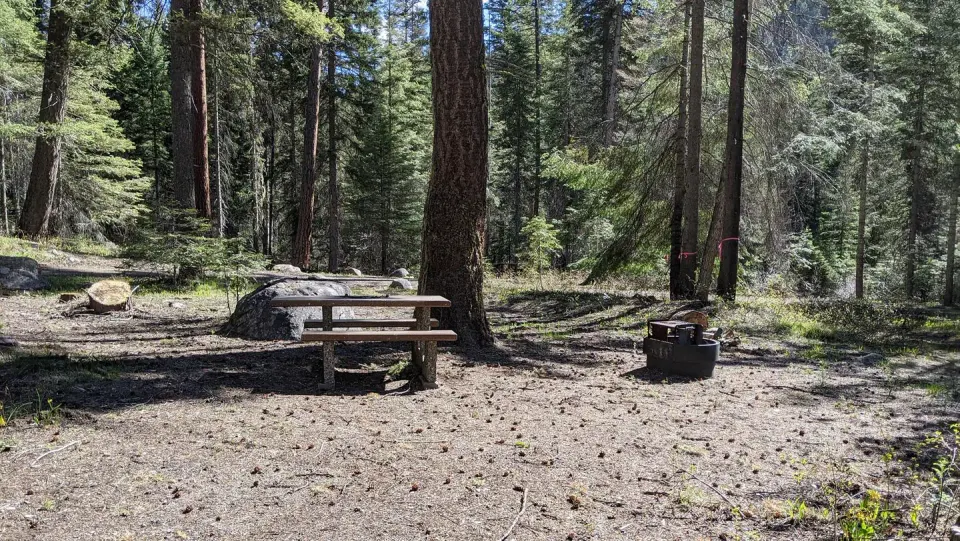 Forested and open campsite with picnic table and fire pit.