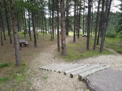 Beach Path