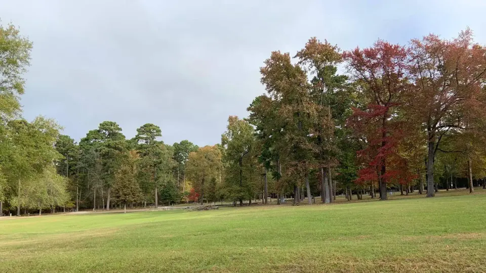 Lake O' The Pines recreation area