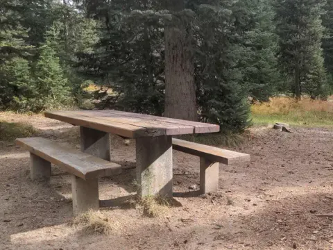 Jeanette campsite with picnic table