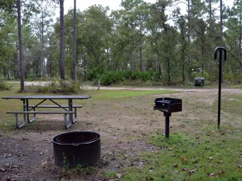 National Forests in Florida recreation area