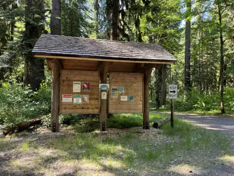 Willamette National Forest recreation area