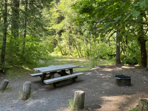 Willamette National Forest recreation area