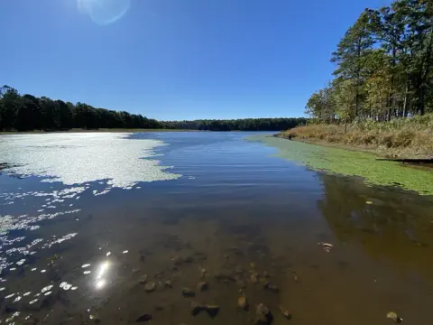 A photo of Pinewoods Lake from the boat ramp at PINEWOODS LAKE REC AREA