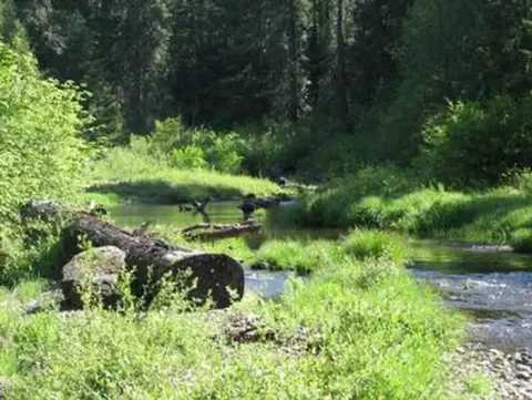 Rogue River-Siskiyou National Forest recreation area