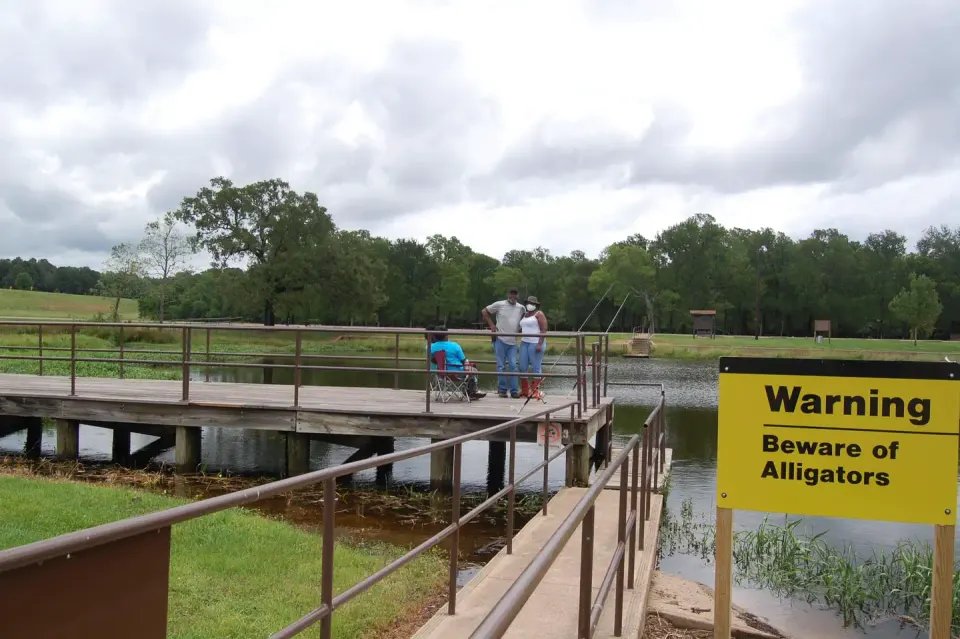 Beard's Lake Fishing Pier