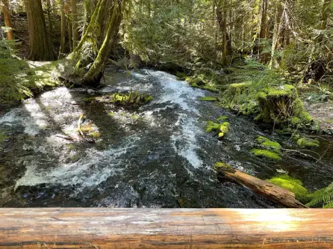 Willamette National Forest recreation area