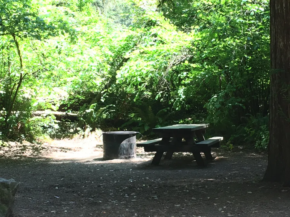 Jedediah Smith campground site