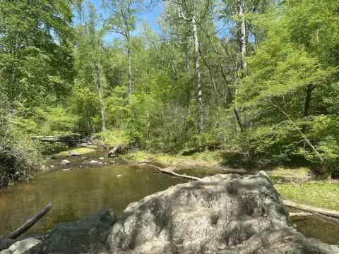 A Boulder in Quantico Creek with leafy trees in the background