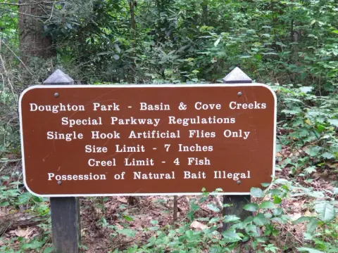 Blue Ridge Parkway recreation area