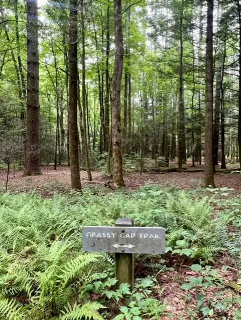 Grassy Gap Trail Near Basin Cove Backcountry Camping