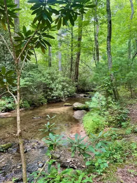 Blue Ridge Parkway recreation area