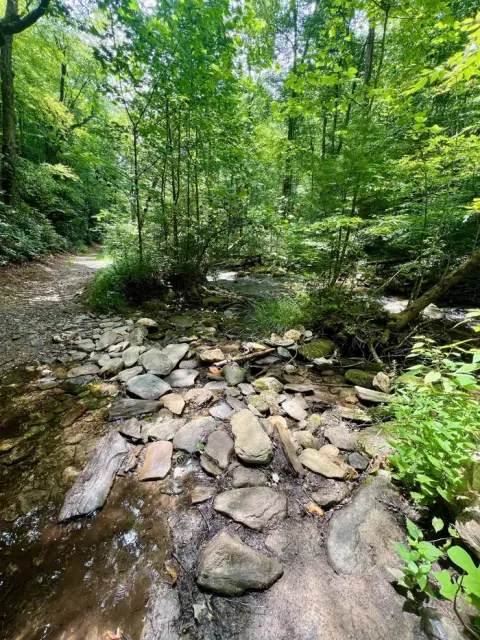Blue Ridge Parkway recreation area
