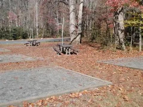 Smokemont Group Campsite View 2