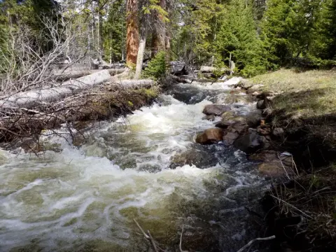 North Fork of the Little Laramie River