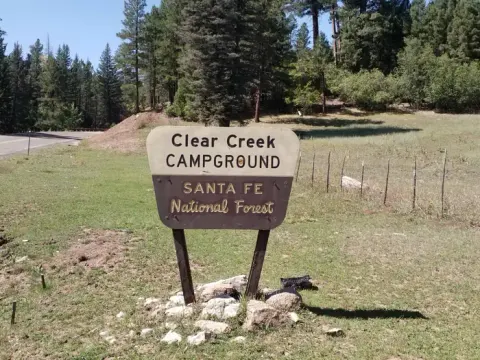 A campground sign with spruce trees and clear blue skies in the background.