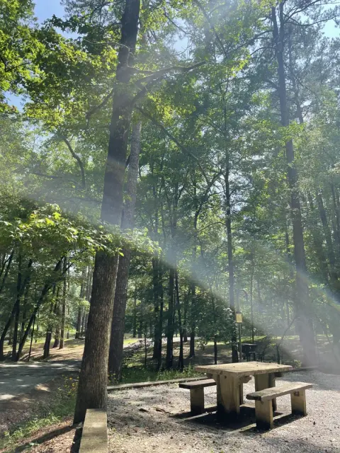 National Forests in Mississippi recreation area