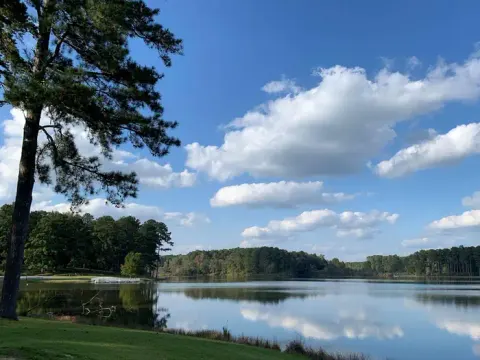 National Forests in Mississippi recreation area