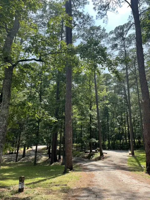 National Forests in Mississippi recreation area