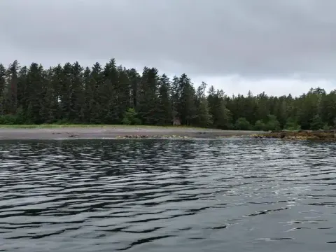 FREDS CREEK CABIN12