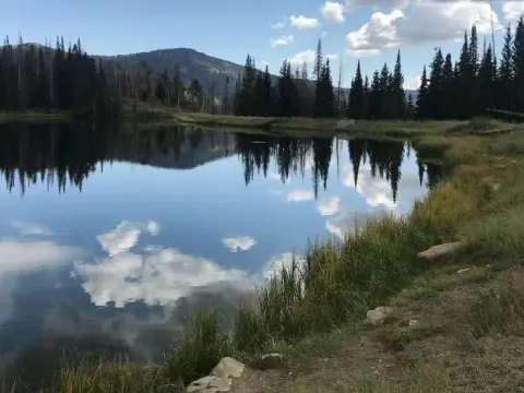 Potters Pond