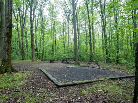 Blueberry Patch campground tent pad
