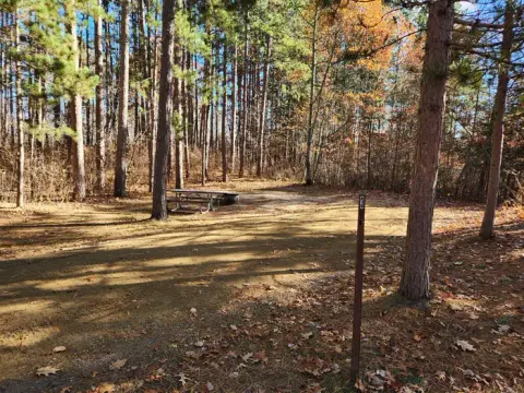 A picture of a campsite in Mabel Lake Campground with trees, a site marker, a picnic table, and a firering.
