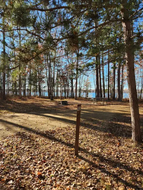 A picture of a campsite in Mabel Lake Campground with a pine tree, a site marker, and a firering.