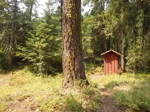 Pine Needle Group SIte