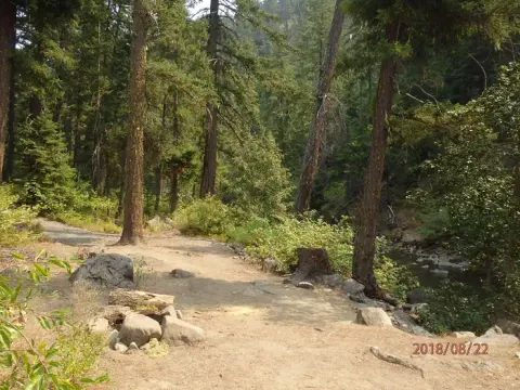 Pine Needle Group SIte