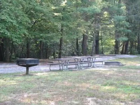 CATALOOCHEE GROUP CAMP picnic table
