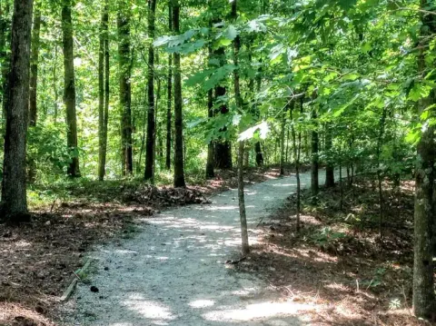 DEERLICK CREEK