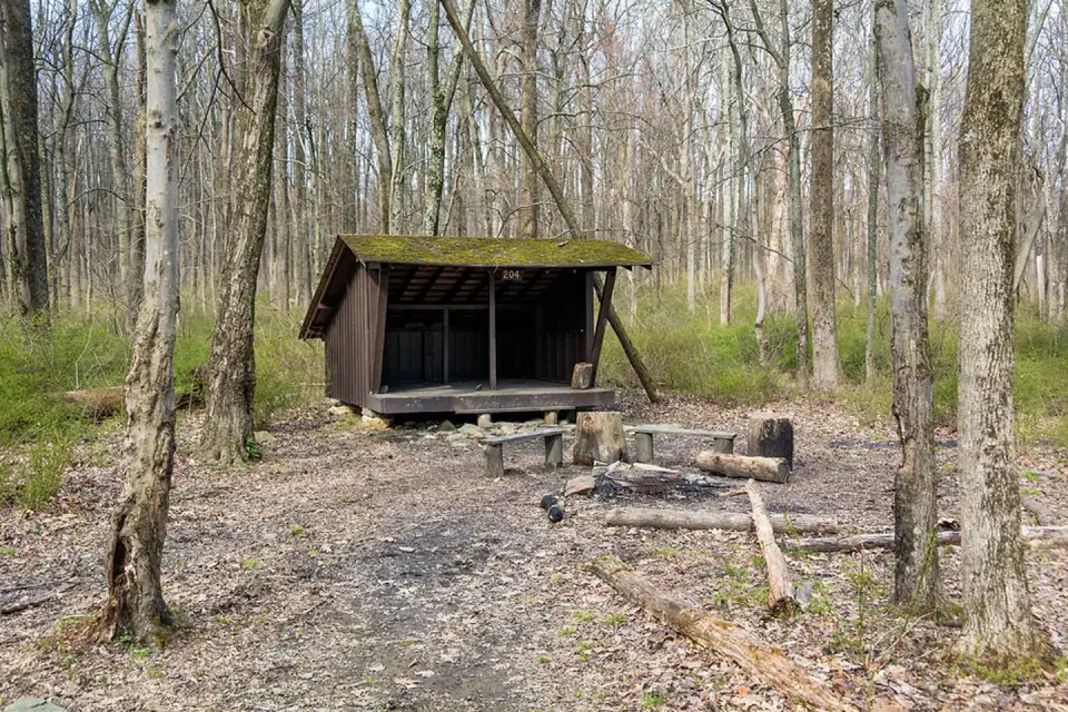 Three-sided wooden Adirondack shelter, 2 wooden benches and fire circle. Surrounded by trees with no leaves.