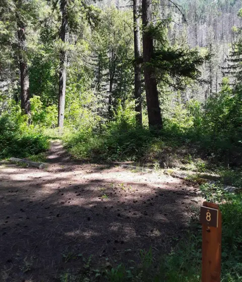 Lolo National Forest recreation area