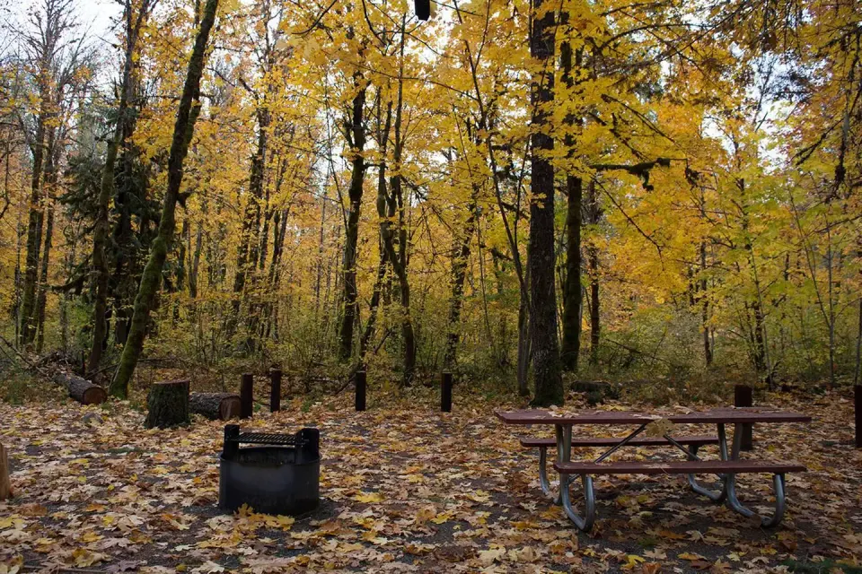 Beaver Campground