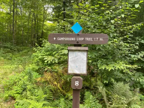 Chittenden Brook Campground Trails