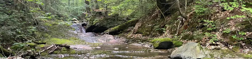 Chittenden Brook Campground