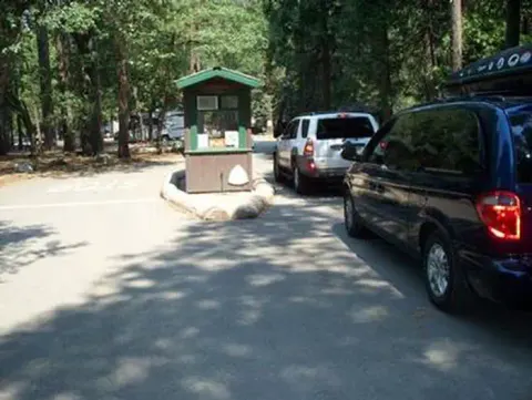 NORTH PINES check-in kiosk