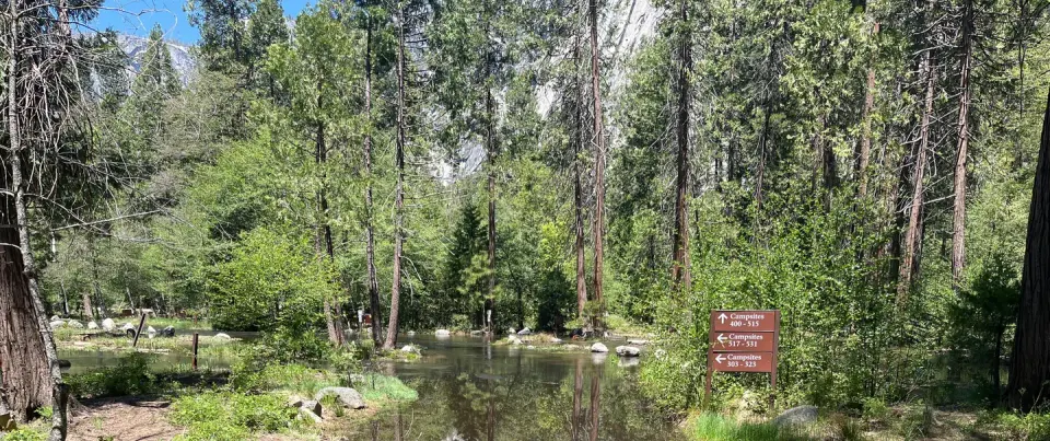Tenaya Creek flooding into North Pines