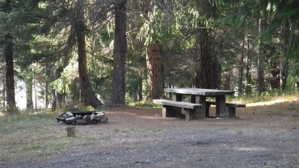 Flat gravel driveway leading to campsite with picnic table and fire ring in pine forest.