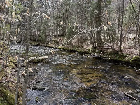 Stream running along campground