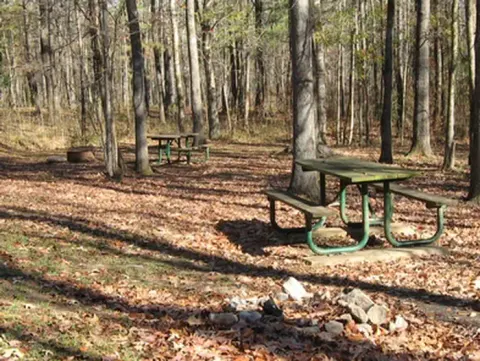 Rocky Springs Campground in Autumn
